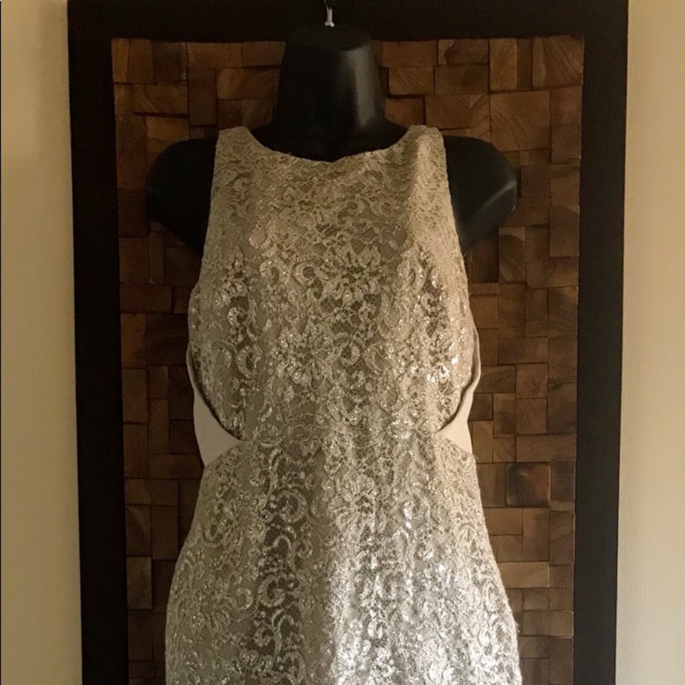 Calvin Klein Beige/Silver Lace Sheath Dress - 4